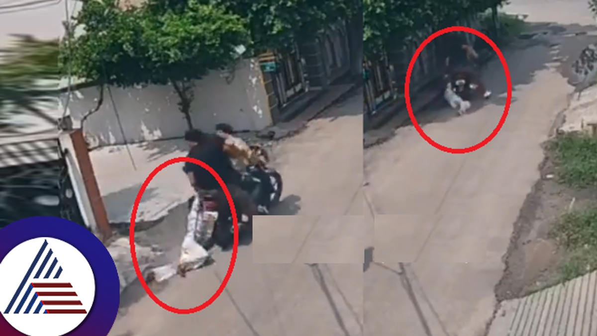 A horrifying video of a lady running behind the mobile thieves on a bike has gone viral suc