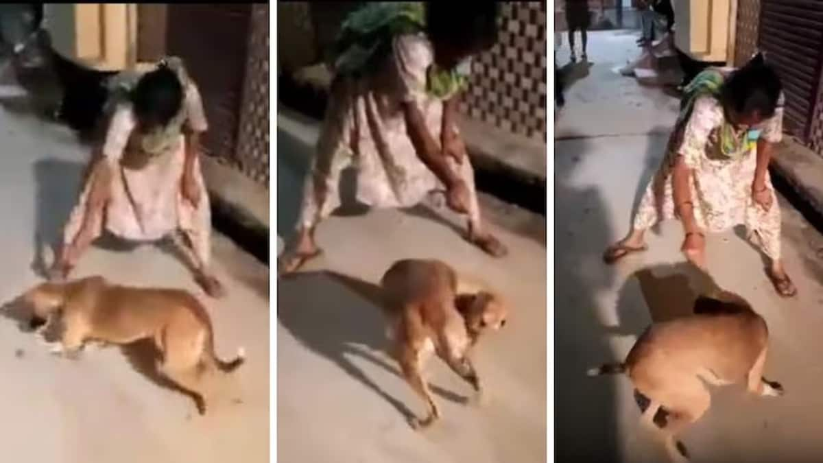 SHOCKING! UP woman ties rat with thread, feeds it to stray dog, viral video sparks outrage (WATCH) shk