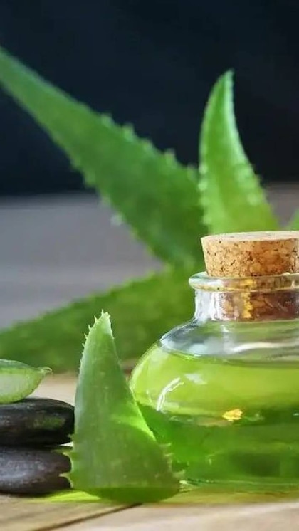 కలబంద రసంతో..