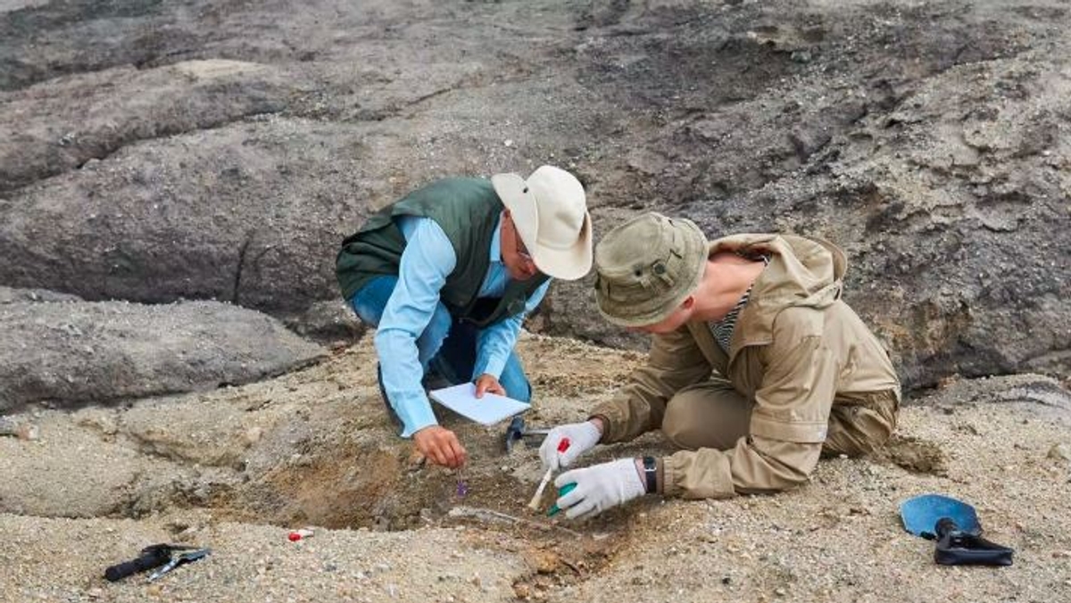 26000 year old human footprint was found at a construction site in spain akb