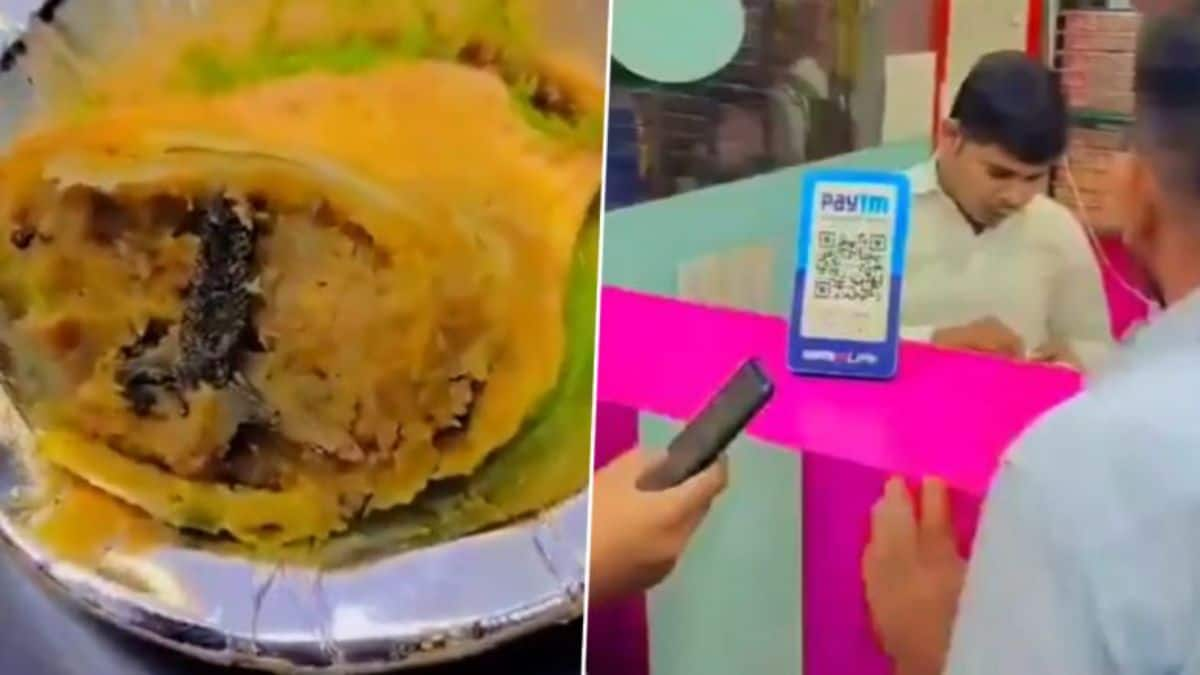 Frog leg found in samosa of Bikaner sweets in Ghaziabad's Indirapuram; viral video sparks concern (WATCH) shk