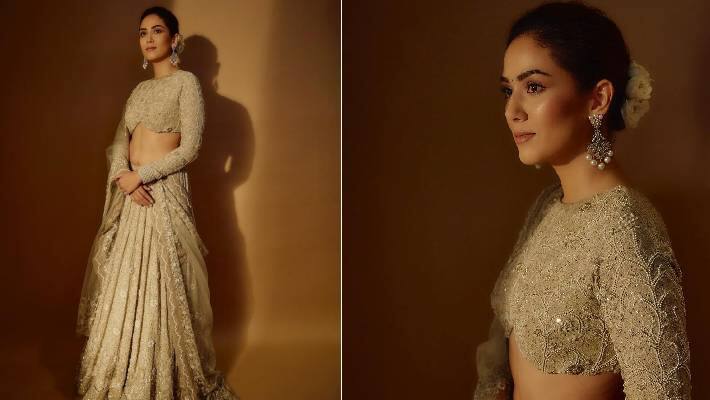 Shahid Kapoor wife Mira Rajput makeup