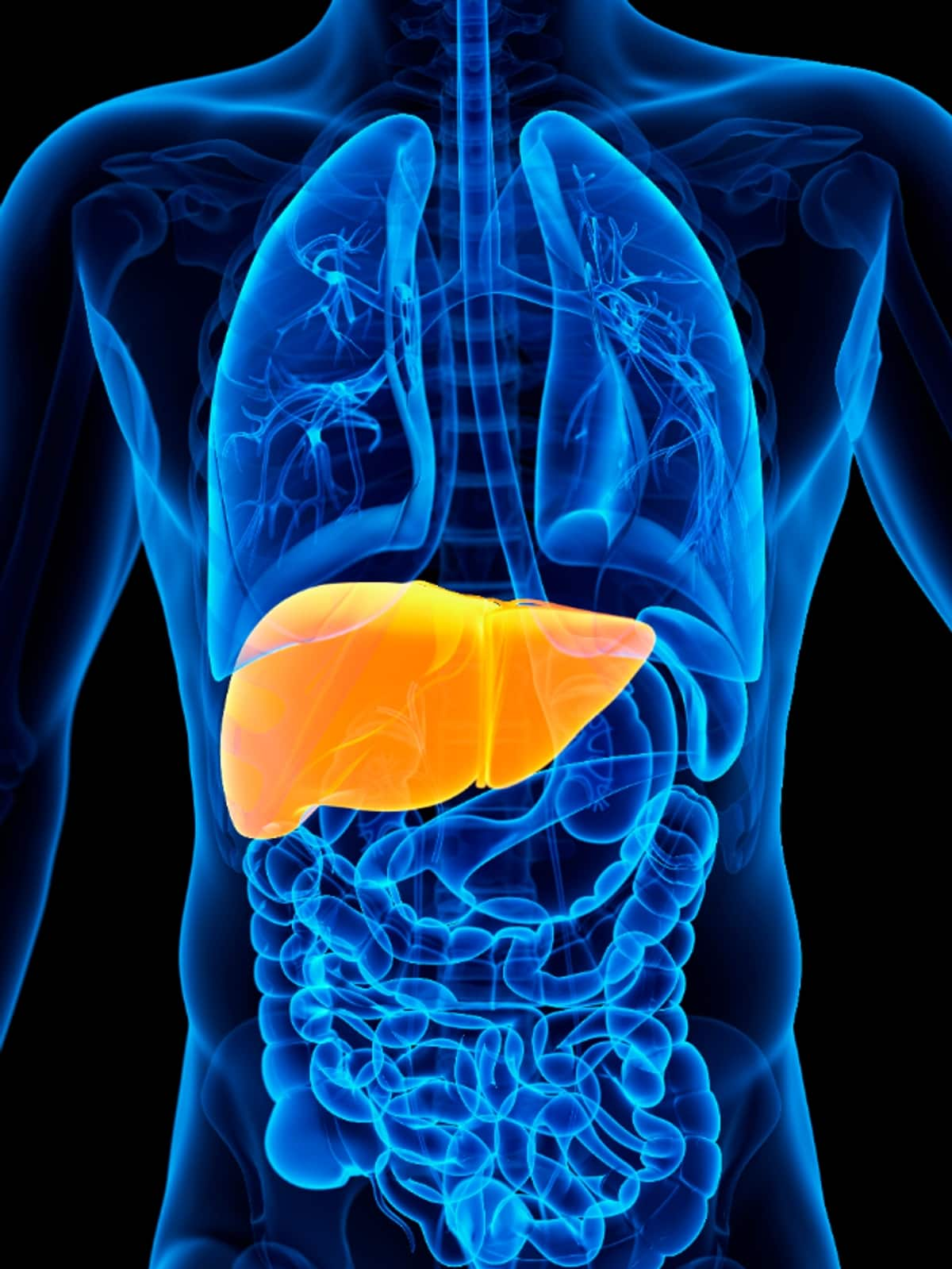 early symptoms of fatty liver disease