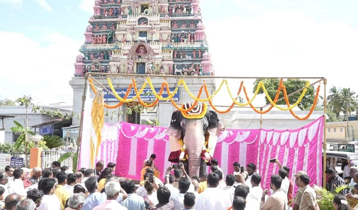 A technical elephant named Niranjana for Sri Siddalingeshwar Swamy Temple at Tumakuru gvd