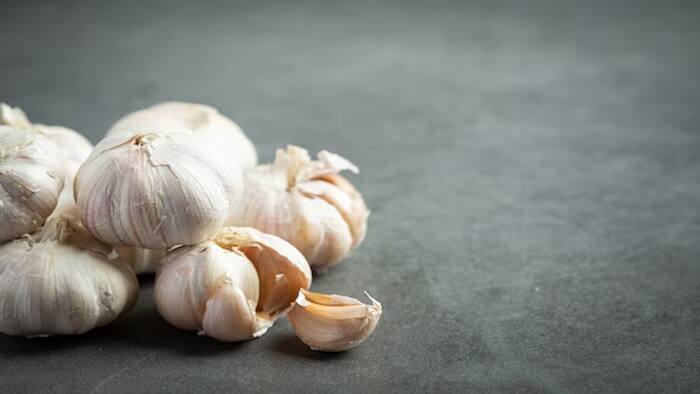 Garlic