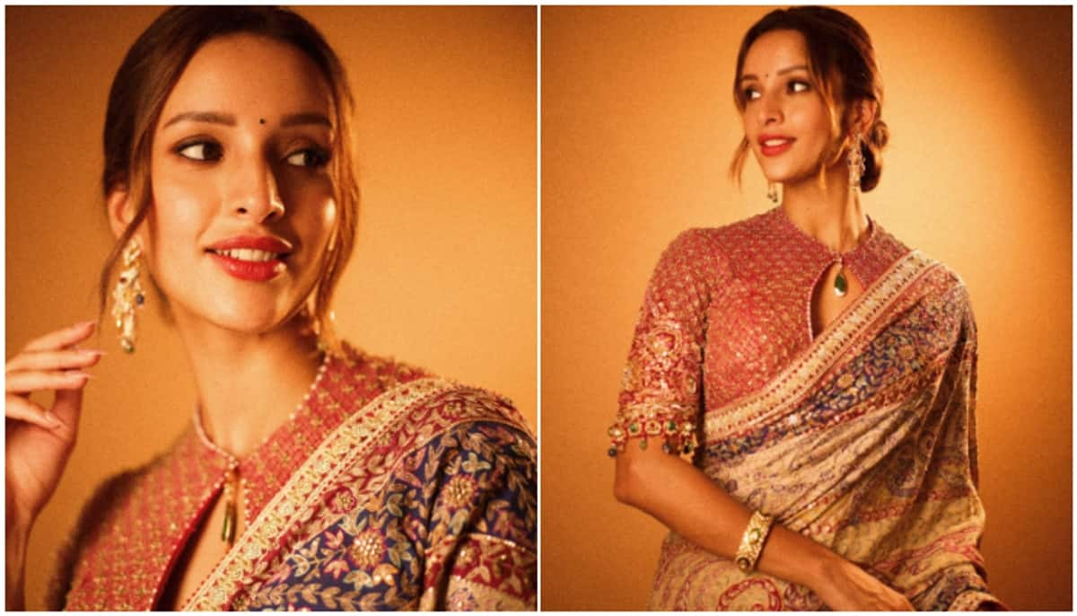 Photos: Tripti Dimri's gorgeous saree look is the festive fashion inspo you need! RTM 