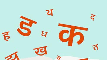 Do you know who spoke Hindi language first and when? Here's what we know!