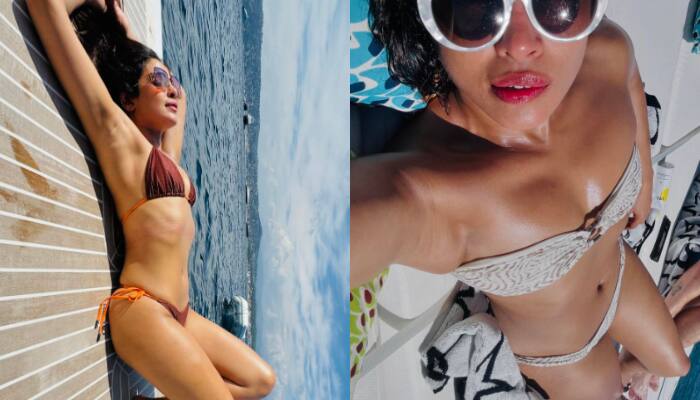 Priyanka Chopra looks SEXY in bikini as she, Nick Jonas share pictures from France vacation RKK