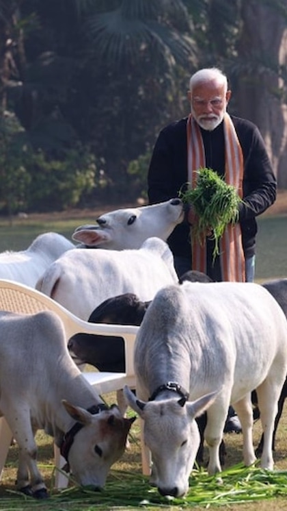 THAR से भी महंगी है PM मोदी के यहां पली गाय, कीमत सुन रह जाएंगे हैरान