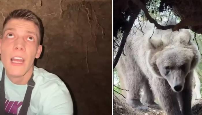 man in cave runs into bear then this is happened 