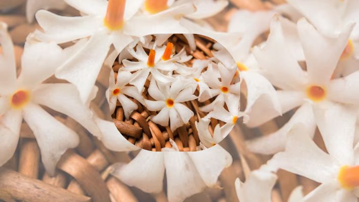 flowers to offer lord shiva