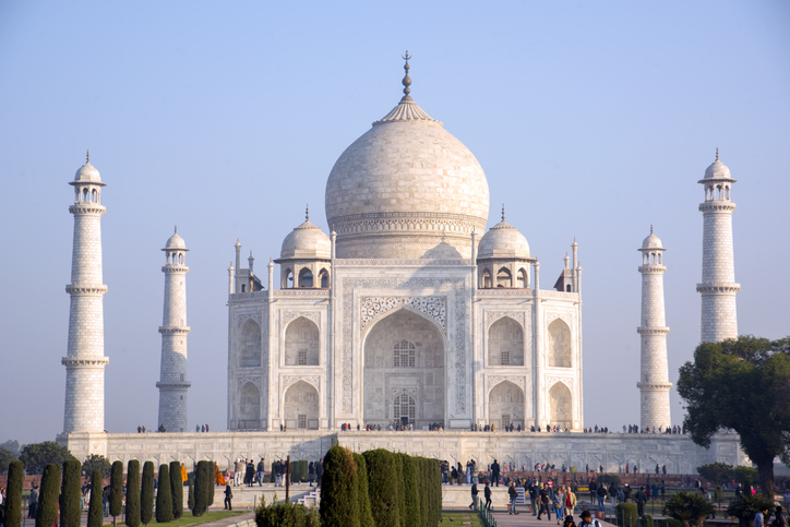 After rainwater leakage, now plant grows on Taj Mahal's dome, raises concerns over monument's maintenance anr