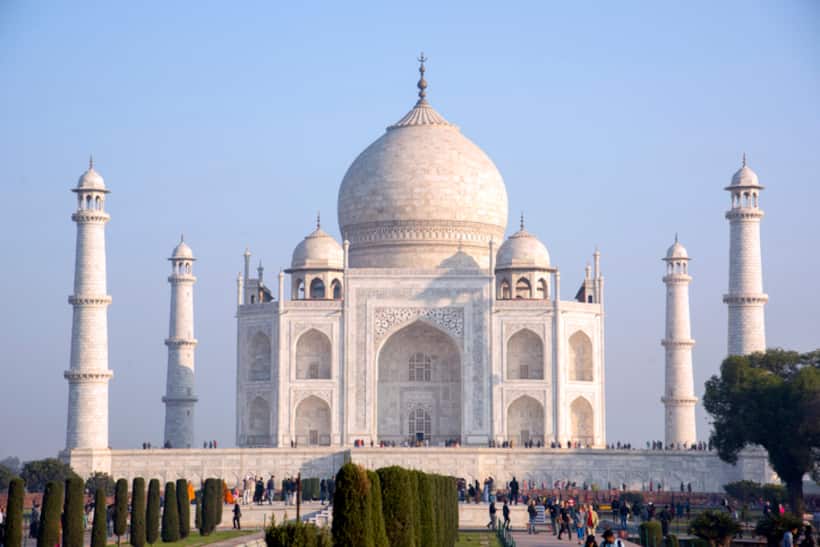 After rainwater leakage, now plant grows on Taj Mahal's dome, raises concerns over monument's maintenance