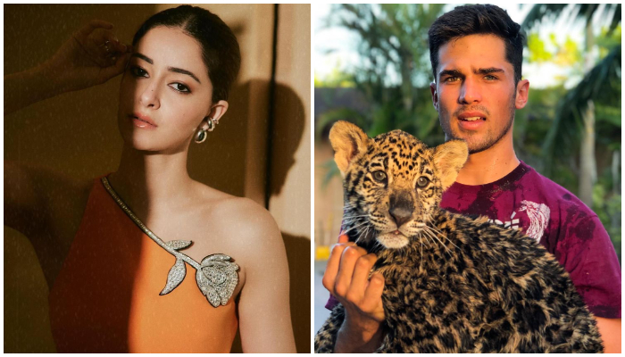 Ananya Panday finally opens up on relationship amid Walker Blanco dating rumors: 'I'm a mysterious...' RTM