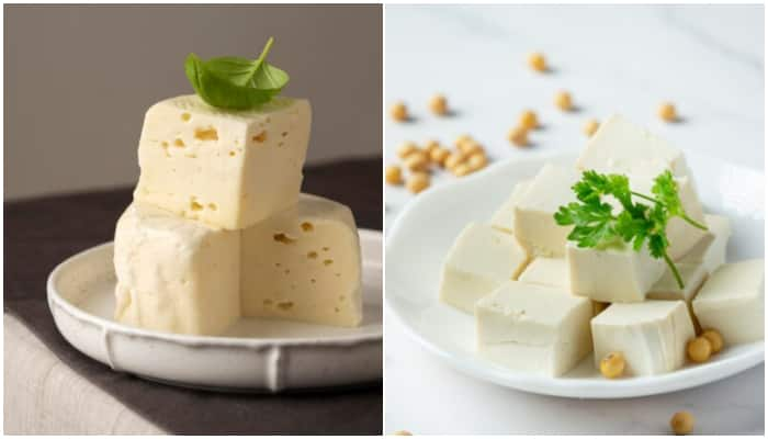 Tofu vs. Paneer: Which is more effective for weight loss? NTI