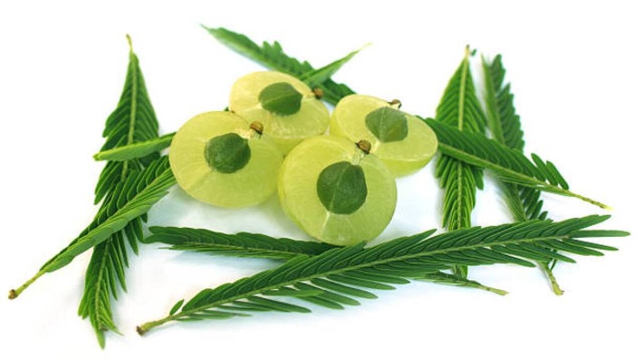 Amla Seeds के 8 हेल्थ बेनीफिट? जानें कैसे ये आपके जीवन को बना सकते हैं बेहतर 