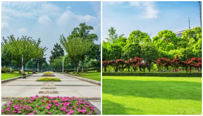 Sundar Nursery to Lodhi Gardens: 5 Best parks in Delhi for a perfect day out NTI