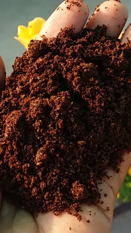Making Compost