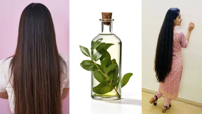 eucalyptus oil for hair growth