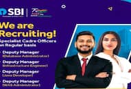 sbi-sco-recruitment-2024-specialist-cadre-officer-posts-apply-now