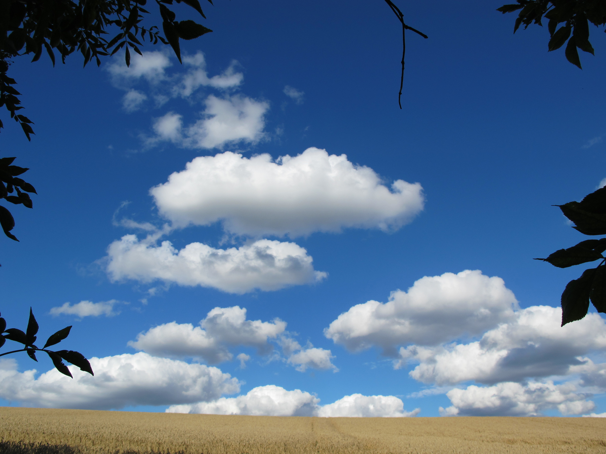 Kolkata Weather Kolkata Weather
