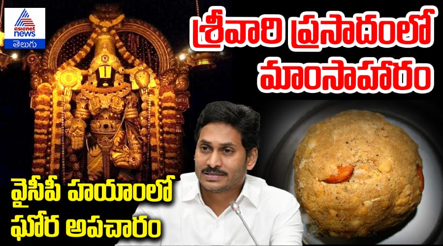 CM Chandrababu Naidu Controversial Remarks on Tirumala Sanctity