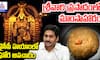 CM Chandrababu Naidu Controversial Remarks on Tirumala Sanctity