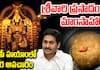 CM Chandrababu Naidu Controversial Remarks on Tirumala Sanctity