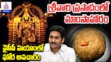 CM Chandrababu Naidu Controversial Remarks on Tirumala Sanctity