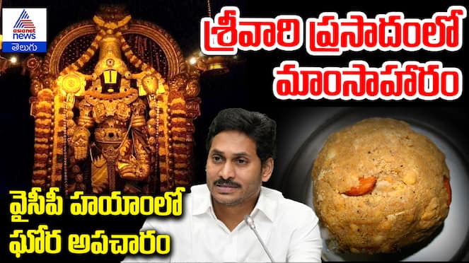 CM Chandrababu Naidu Controversial Remarks on Tirumala Sanctity