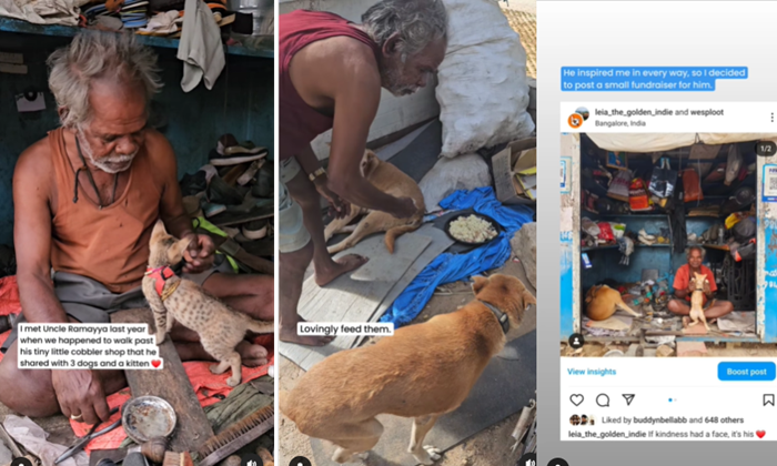 People help Bengaluru cobbler who feeds stray dogs share small shop space with 3 dog and cat ckm