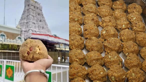 Beef fat, fish oil in Tirupati laddoos: Calls for punishment like 'kumbhipakam', hang till death & more surge snt