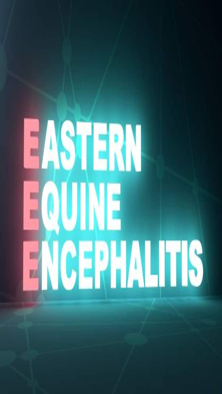 viral-infections-brain-swelling-west-nile-rabies-dengue-eee-covid19-effects  