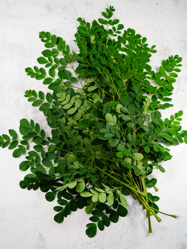 Why should you eat Moringa leaves? Easy cleaning tips