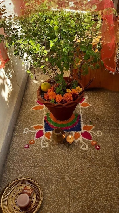 పాజివిట్ ఎనర్జీ