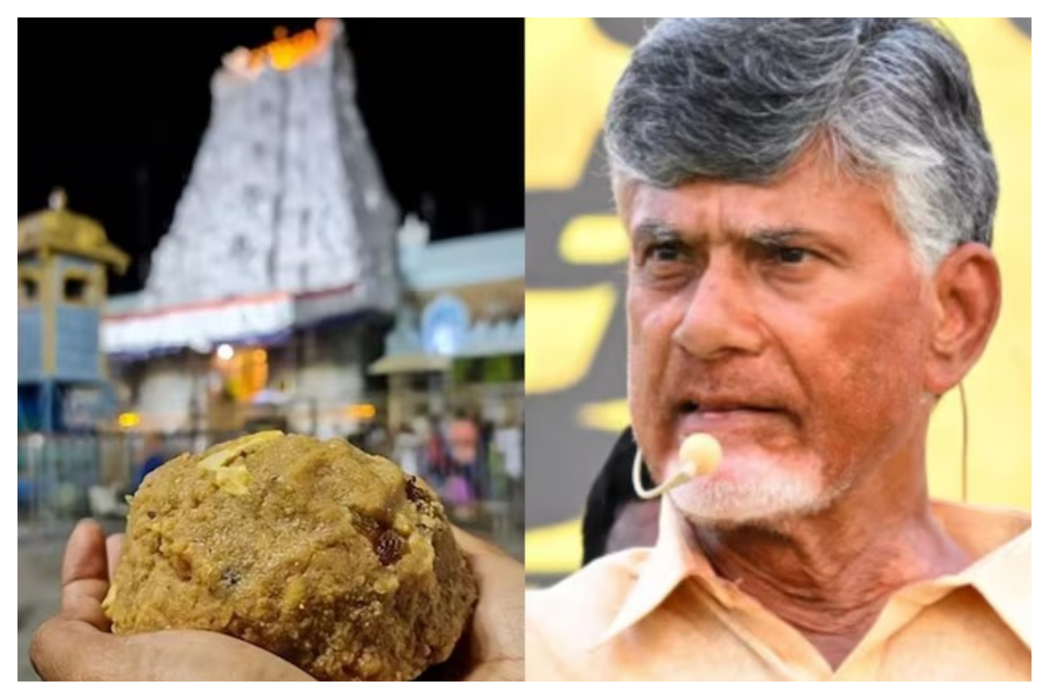 Test Report confirms beef fat fish oil used in making laddus at Tirupati Temple vel