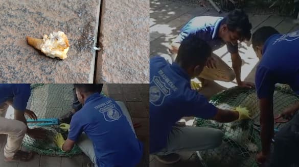 pet dog chockes bones trauma care workers rescue dog in no time