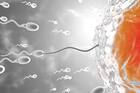 Sperm Health Matters: Know power, benefits of antioxidants in male diet 