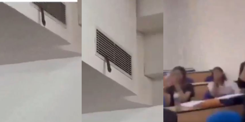 snake entered a classroom through the air conditioning vent and disrupted lecture at Amity University in Noida 