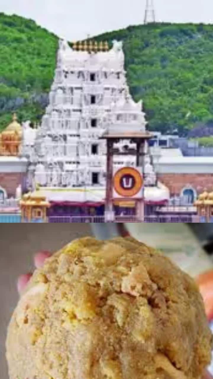 10 Secret Facts of Tirupati Laddu mma