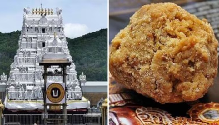 Lab report not clear Supreme court slams cm chandrababu naidu over Tirupati Laddoo Row ckm