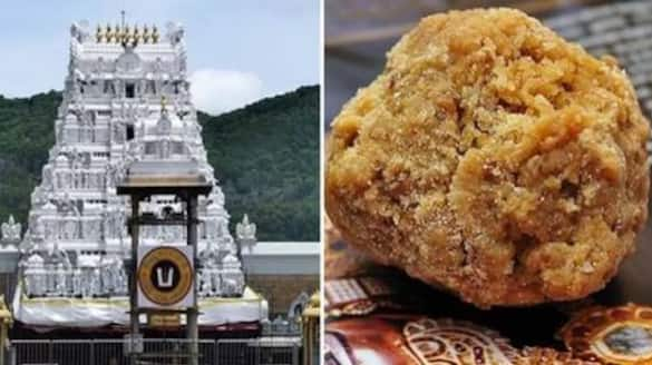 Tirupati Laddoo issue health minister JP nadda asked for detailed report ans