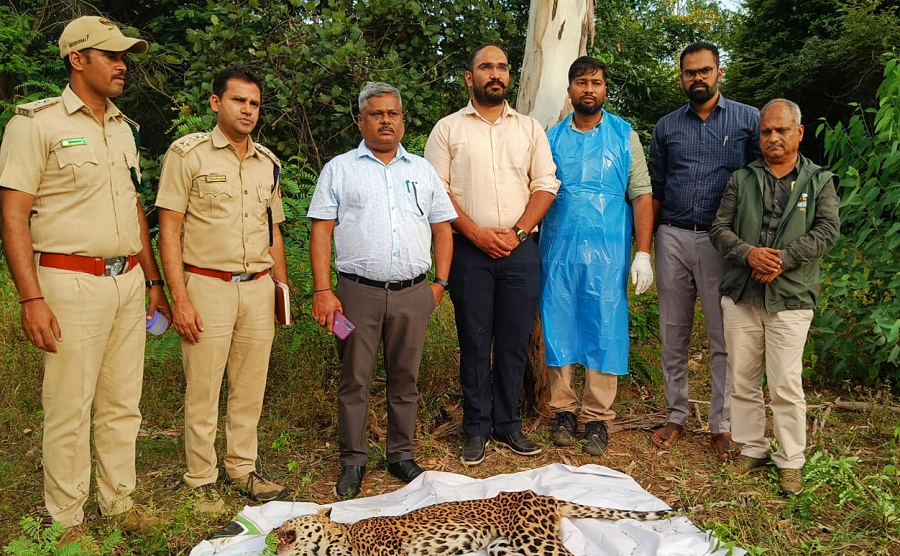 Four farmers were injured after being shot by a leopard at chamarajanagar gvd