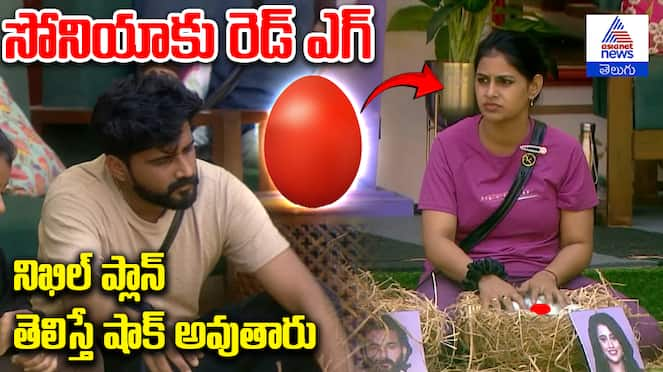 Bigg Boss Telugu Season 8: Contestants' True Colors Revealed in Egg Task as Nikhil Breaks Free from Sonia's Manipulation