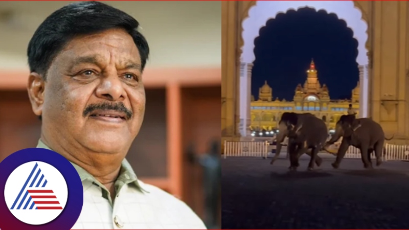 minister hc mahadevappa reacts about dasara elephants engage in fight create panic in mysuru rav