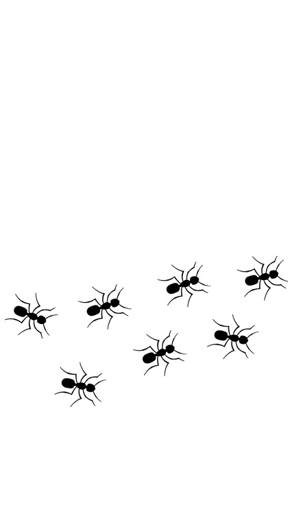 నల్ల చీమలు