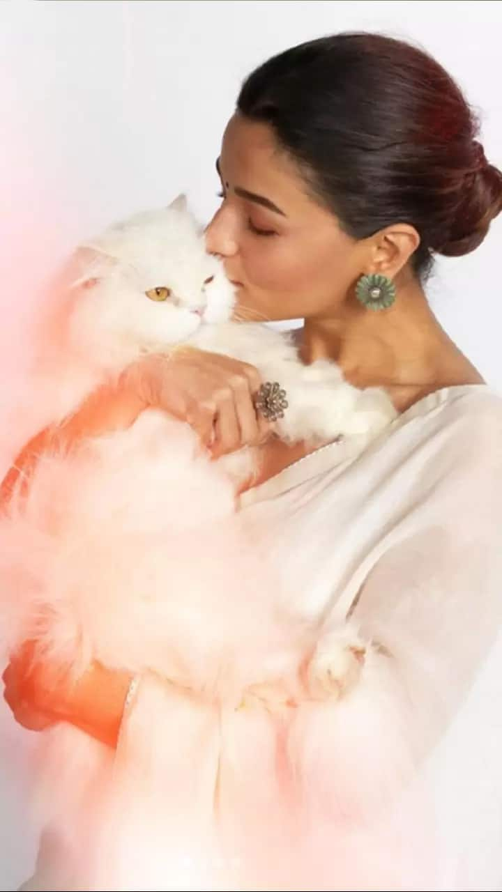 Do you know Celebrities Love Cats for these 6 reasons? mma