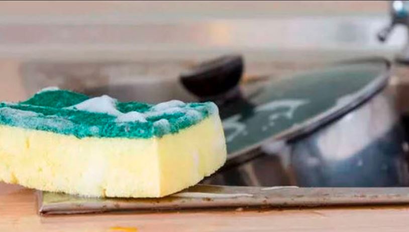 Silent Killer: The Shocking Health Risks of Your Kitchen Sponge