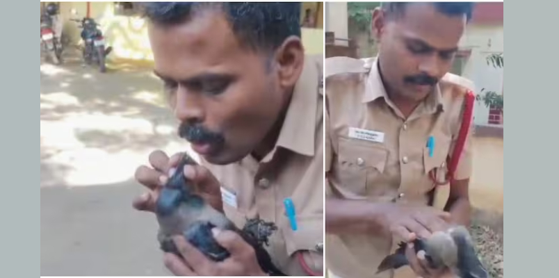 Fire and Rescue Service officer saves crow with CPR 