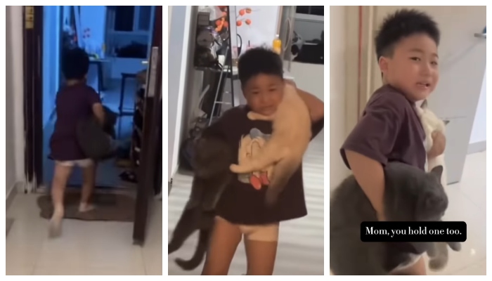 Video of a child running to protect his cats during an earthquake has taken over social media 